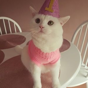 Meet your Posher, Hailey